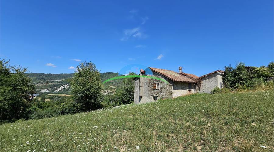 Photo 31